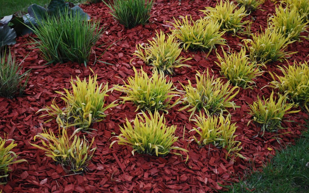 Is Rubber Mulch Good For My Trees?