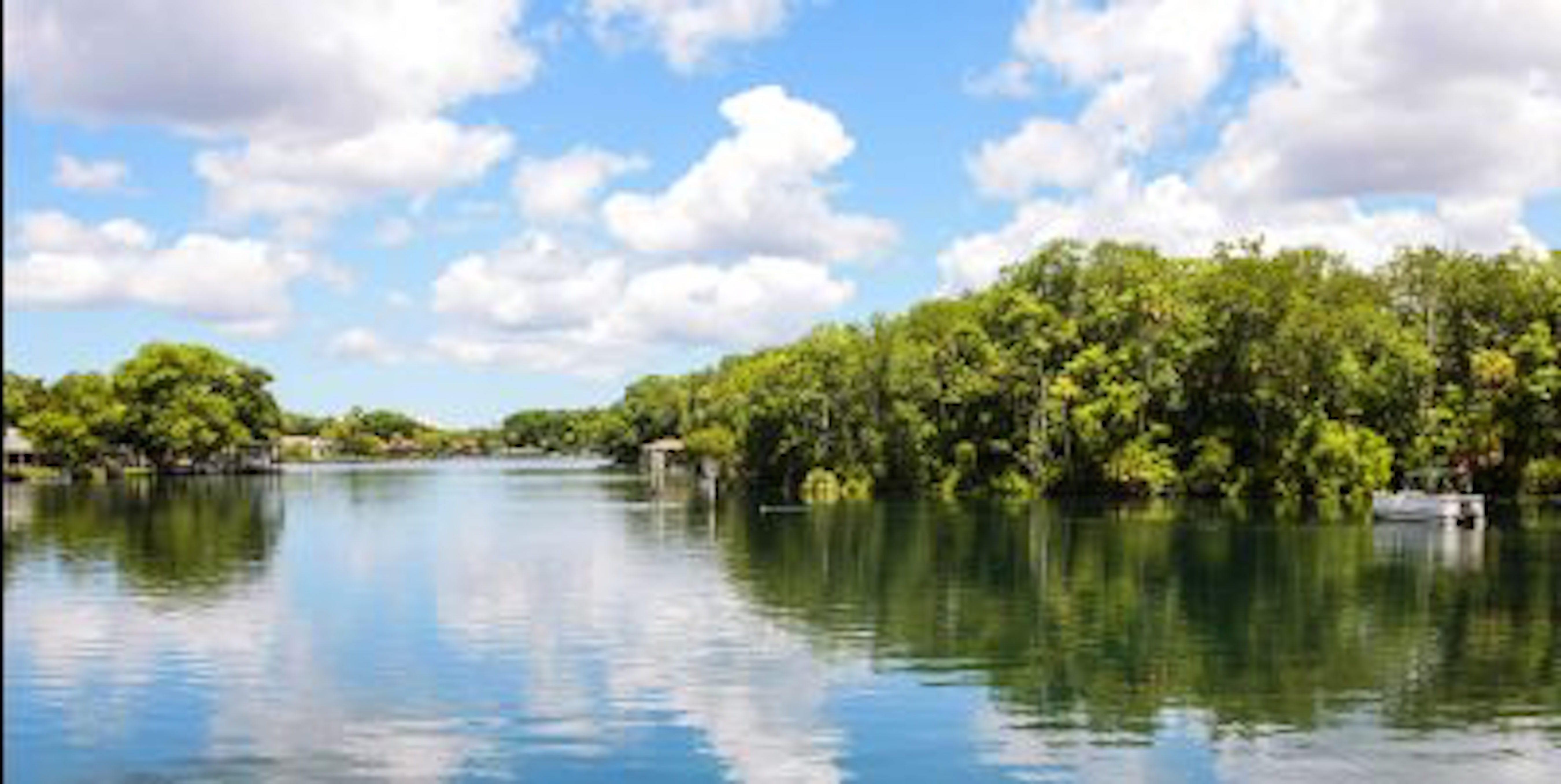 Best-Tree-Service-in-Egypt-Lake-Leto-FL