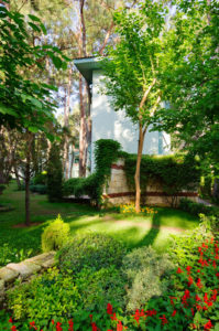Tampa Tree Care Florida Yards Program